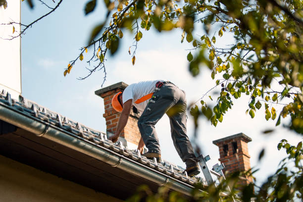 Best Flat Roofing  in Bishop, TX