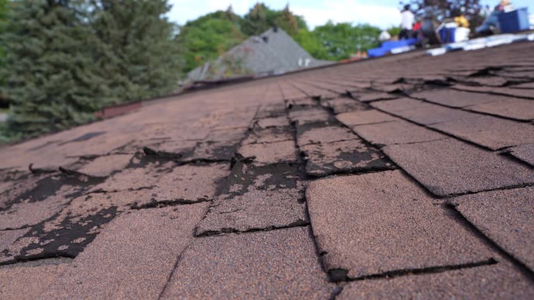 Best Rubber Roofing (EPDM, TPO)  in Bishop, TX