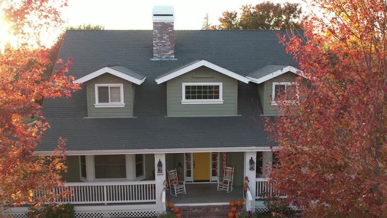 Best Skylight Installation and Repair  in Bishop, TX