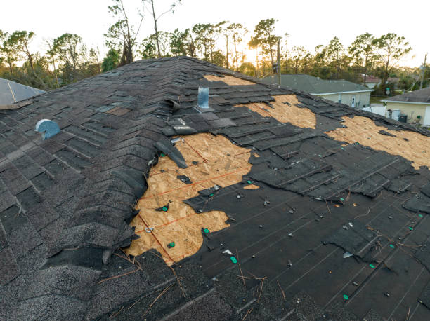 Professional Roofing Service in Bishop, TX